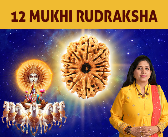 12 Mukhi Rudraksha Video