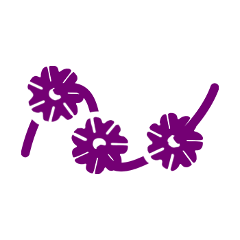 Rudraksha