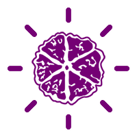 Rudraksha